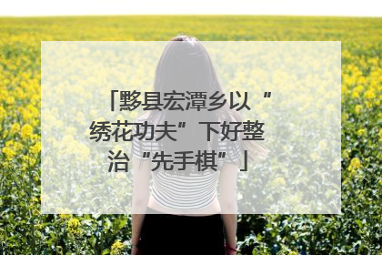 黟县宏潭乡以“绣花功夫”下好整治“先手棋”