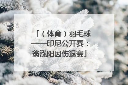 （体育）羽毛球——印尼公开赛：翁泓阳因伤退赛