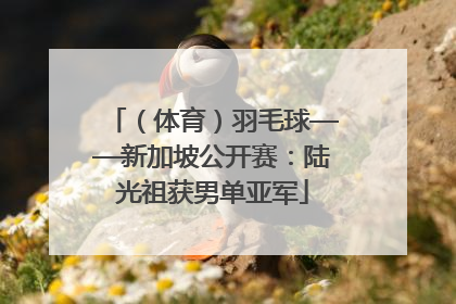 （体育）羽毛球——新加坡公开赛：陆光祖获男单亚军