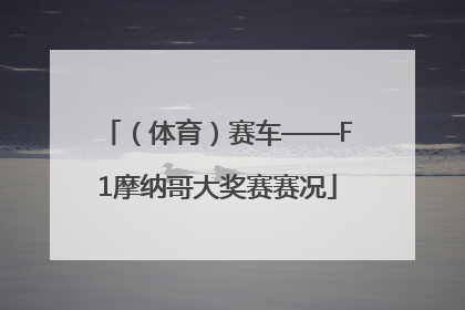 （体育）赛车——F1摩纳哥大奖赛赛况