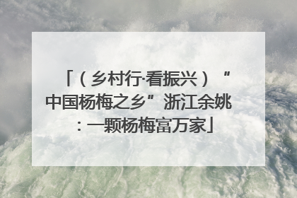 （乡村行·看振兴）“中国杨梅之乡”浙江余姚：一颗杨梅富万家