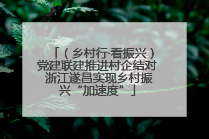 （乡村行·看振兴）党建联建推进村企结对 浙江遂昌实现乡村振兴“加速度”