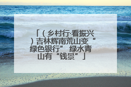 （乡村行·看振兴）吉林辉南荒山变“绿色银行” 绿水青山有“钱景”