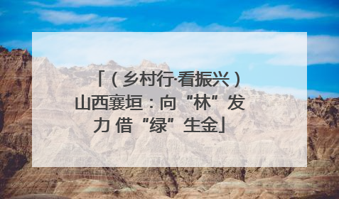 （乡村行·看振兴）山西襄垣：向“林”发力 借“绿”生金
