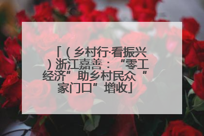 （乡村行·看振兴）浙江嘉善：“零工经济”助乡村民众“家门口”增收
