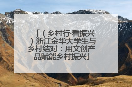 （乡村行·看振兴）浙江金华大学生与乡村结对：用文创产品赋能乡村振兴