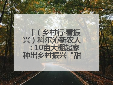 （乡村行·看振兴）科尔沁新农人：10亩大棚起家种出乡村振兴“甜蜜果”
