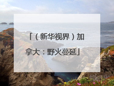 （新华视界）加拿大：野火蔓延