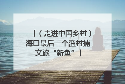 （走进中国乡村）海口最后一个渔村捕文旅“新鱼”