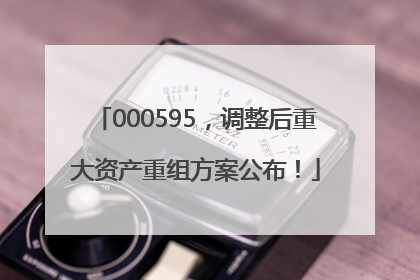 000595，调整后重大资产重组方案公布！