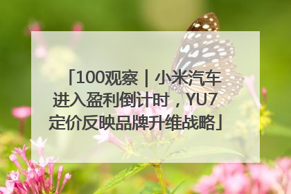 100观察｜小米汽车进入盈利倒计时，YU7定价反映品牌升维战略