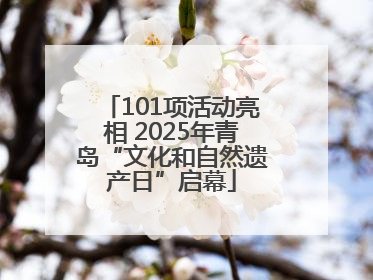 101项活动亮相 2025年青岛“文化和自然遗产日”启幕