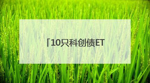 10只科创债ETF今日集体开卖，300亿规模可期，多家亮牌一日售罄