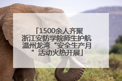 1500余人齐聚 浙江安防学院师生护航温州龙湾“安全生产月”活动火热开展