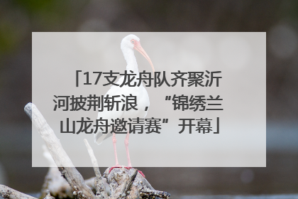 17支龙舟队齐聚沂河披荆斩浪，“锦绣兰山龙舟邀请赛”开幕
