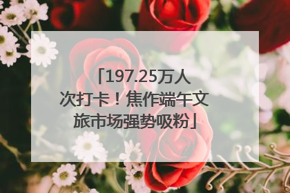 197.25万人次打卡！焦作端午文旅市场强势吸粉
