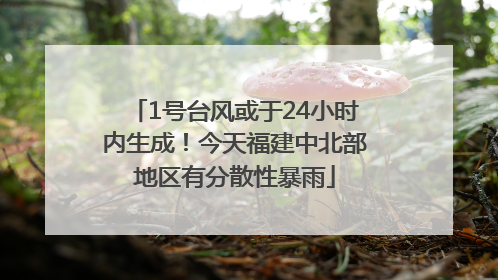 1号台风或于24小时内生成！今天福建中北部地区有分散性暴雨
