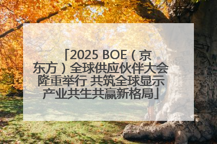 2025 BOE（京东方）全球供应伙伴大会隆重举行 共筑全球显示产业共生共赢新格局