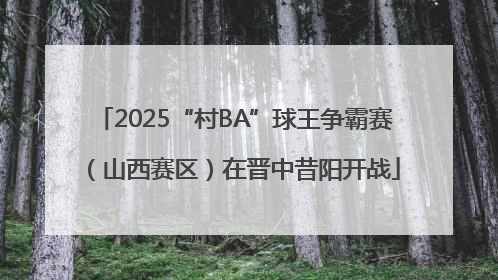 2025“村BA”球王争霸赛（山西赛区）在晋中昔阳开战