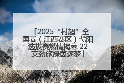 2025“村超”全国赛（江西赛区）弋阳选拔赛燃情揭幕 22支劲旅绿茵逐梦