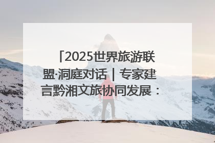 2025世界旅游联盟·洞庭对话｜专家建言黔湘文旅协同发展：聚焦产品稀缺性 深化区域经验共享