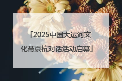 2025中国大运河文化带京杭对话活动启幕