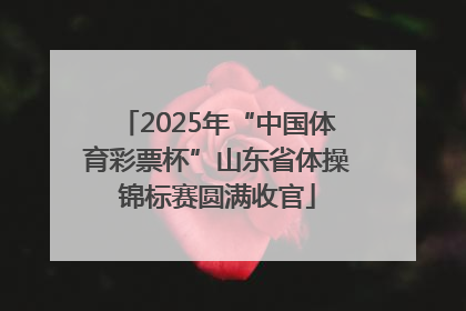 2025年“中国体育彩票杯”山东省体操锦标赛圆满收官