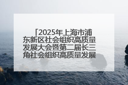 2025年上海市浦东新区社会组织高质量发展大会暨第二届长三角社会组织高质量发展峰会成功举办