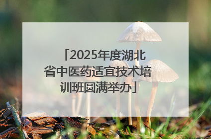2025年度湖北省中医药适宜技术培训班圆满举办