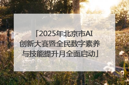 2025年北京市AI创新大赛暨全民数字素养与技能提升月全面启动