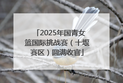 2025年国青女篮国际挑战赛（十堰赛区）圆满收官