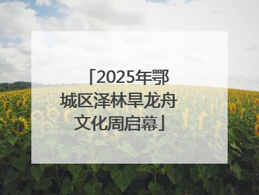 2025年鄂城区泽林旱龙舟文化周启幕