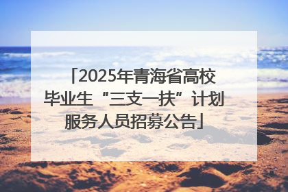 2025年青海省高校毕业生“三支一扶”计划服务人员招募公告