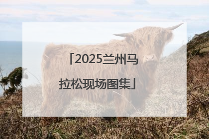 2025兰州马拉松现场图集