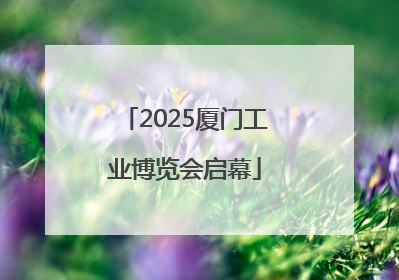 2025厦门工业博览会启幕