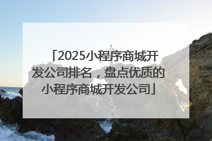 2025小程序商城开发公司排名，盘点优质的小程序商城开发公司