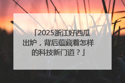 2025浙江好西瓜出炉，背后蕴藏着怎样的科技新门道？