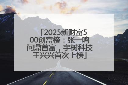 2025新财富500创富榜：张一鸣问鼎首富，宇树科技王兴兴首次上榜