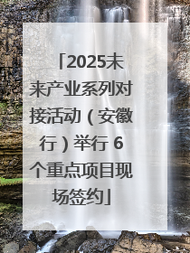 2025未来产业系列对接活动（安徽行）举行 6个重点项目现场签约