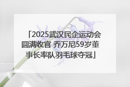 2025武汉民企运动会圆满收官 乔万尼59岁董事长率队羽毛球夺冠