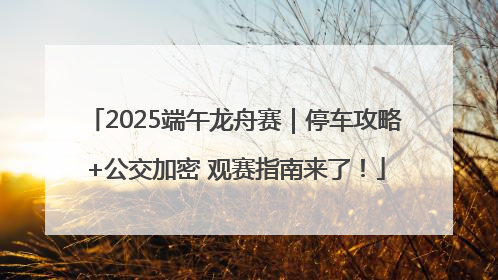 2025端午龙舟赛｜停车攻略+公交加密 观赛指南来了！