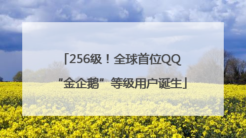 256级！全球首位QQ“金企鹅”等级用户诞生