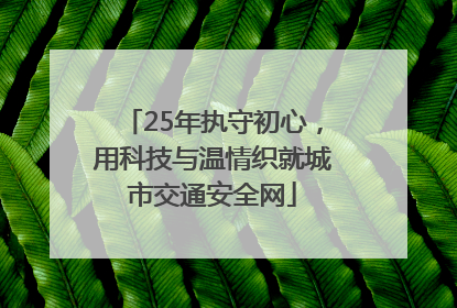 25年执守初心，用科技与温情织就城市交通安全网