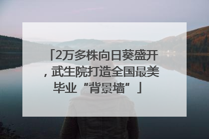 2万多株向日葵盛开，武生院打造全国最美毕业“背景墙”