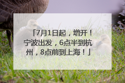 7月1日起，增开！宁波出发，6点半到杭州，8点前到上海！