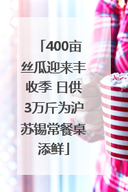 400亩丝瓜迎来丰收季 日供3万斤为沪苏锡常餐桌添鲜