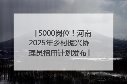 5000岗位！河南2025年乡村振兴协理员招用计划发布