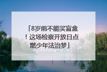 8岁前不能买盲盒！这场检察开放日点燃少年法治梦