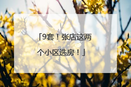 9套！张店这两个小区选房！