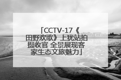 CCTV-17《田野欢歌》上犹站拍摄收官 全景展现客家生态文旅魅力